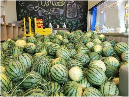 今日吃瓜合集,娱乐圈风云再起，热点事件盘点